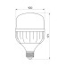 LED лампа TITANUM A100 30W E27 6500К
