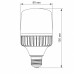 LED лампа VIDEX A80 30W E27 5000K